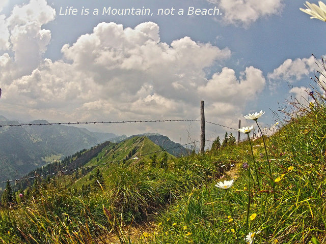 Life-is-a-mountain-not-a-beach-Foto